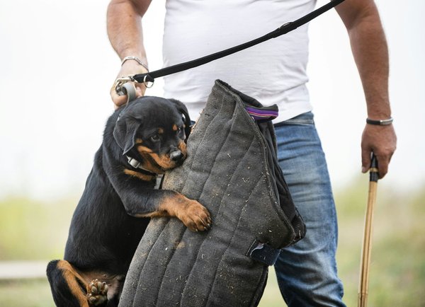 Comment optimiser la sécurité de votre smartphone lors de paiements sans contact NFC?